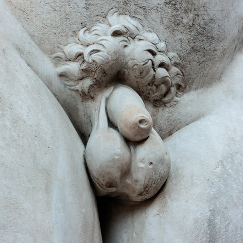 Anatomía masculina